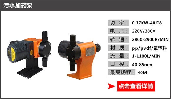 污水加藥泵 污水加藥泵