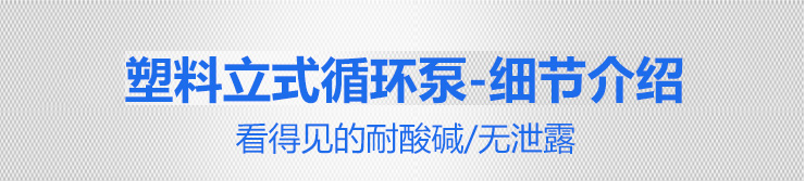 塑料立式循環泵4 塑料立式循環泵4