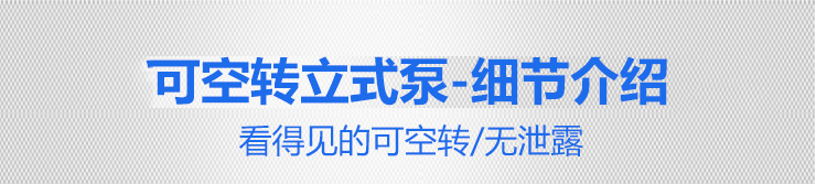可空轉耐腐蝕立式泵細節介紹 可空轉耐腐蝕立式泵細節介紹