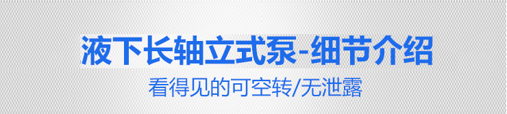1KPL立式泵細節介紹 1KPL立式泵細節介紹