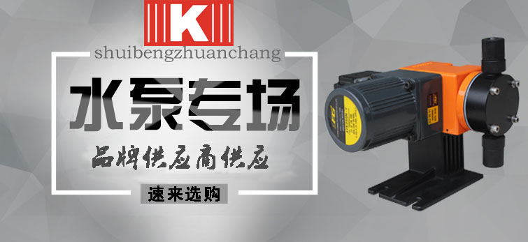 定量加藥泵 定量加藥泵