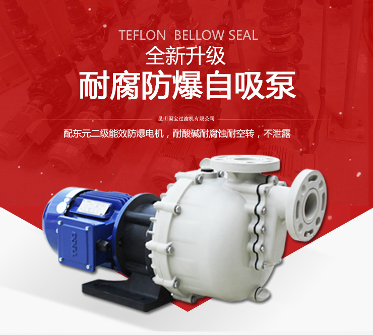 耐腐防爆自吸泵 耐腐防爆自吸泵